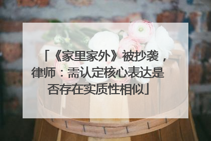 《家里家外》被抄袭，律师：需认定核心表达是否存在实质性相似