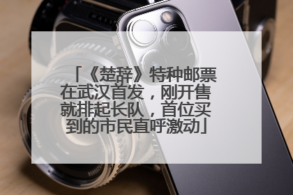 《楚辞》特种邮票在武汉首发，刚开售就排起长队，首位买到的市民直呼激动