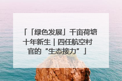 「绿色发展」千亩荷塘 十年新生｜四任航空村官的“生态接力”