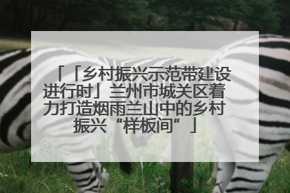 「乡村振兴示范带建设进行时」兰州市城关区着力打造烟雨兰山中的乡村振兴“样板间”