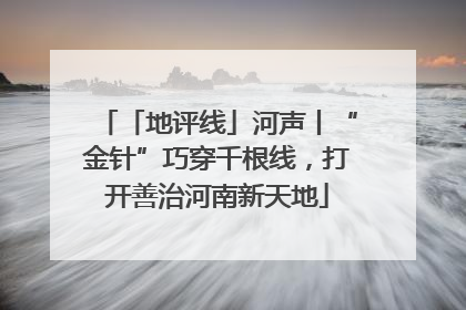 「地评线」河声丨“金针”巧穿千根线，打开善治河南新天地