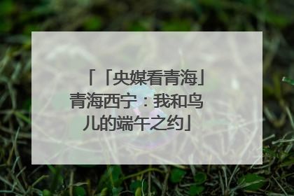 「央媒看青海」青海西宁：我和鸟儿的端午之约