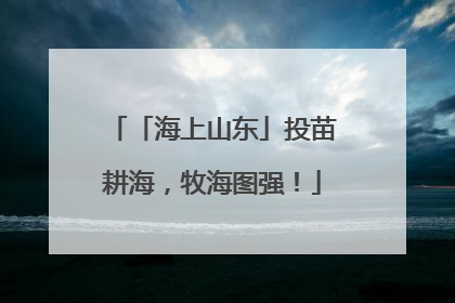 「海上山东」投苗耕海，牧海图强！