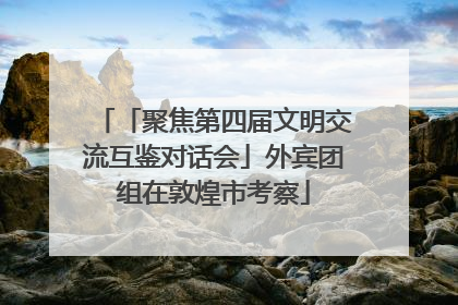 「聚焦第四届文明交流互鉴对话会」外宾团组在敦煌市考察