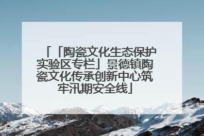 「陶瓷文化生态保护实验区专栏」景德镇陶瓷文化传承创新中心筑牢汛期安全线