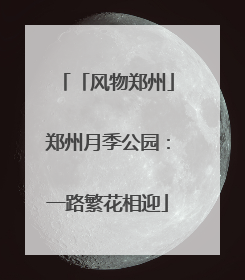 「风物郑州」郑州月季公园：一路繁花相迎