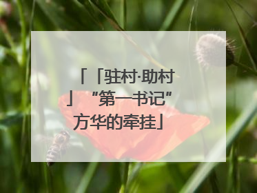 「驻村·助村」“第一书记”方华的牵挂