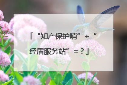 “知产保护哨”+“经盾服务站”=？