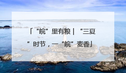 “皖”里有粮｜“三夏”时节，一“皖”麦香