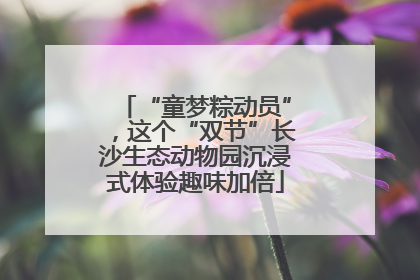 “童梦粽动员”，这个“双节”长沙生态动物园沉浸式体验趣味加倍