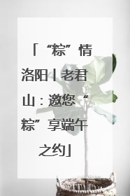 “粽”情洛阳丨老君山：邀您“粽”享端午之约