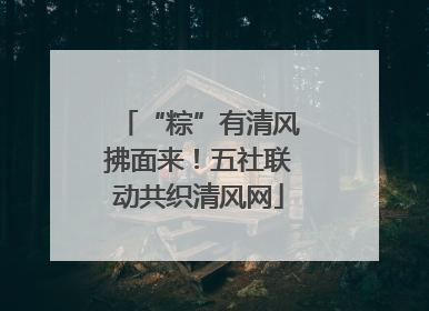 “粽”有清风拂面来！五社联动共织清风网