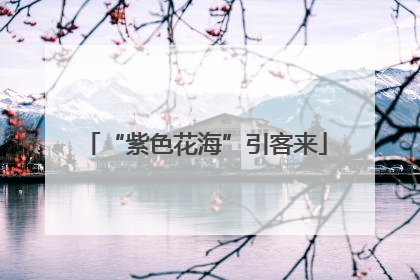 “紫色花海”引客来