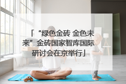 “绿色金砖 金色未来”金砖国家智库国际研讨会在京举行