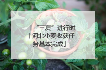 “三夏”进行时丨河北小麦收获任务基本完成