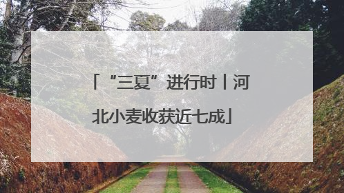 “三夏”进行时丨河北小麦收获近七成