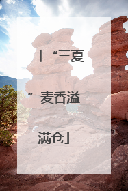 “三夏”麦香溢满仓