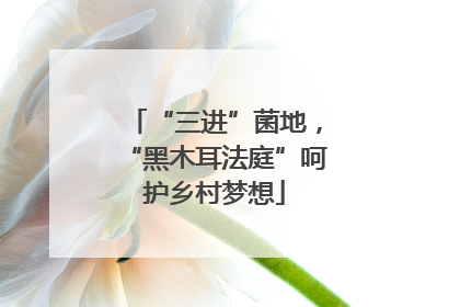 “三进”菌地，“黑木耳法庭”呵护乡村梦想