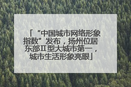 “中国城市网络形象指数”发布，扬州位居东部Ⅱ型大城市第一，城市生活形象亮眼