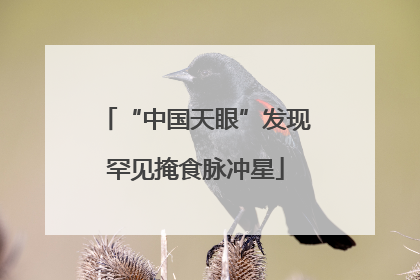 “中国天眼”发现罕见掩食脉冲星