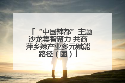 “中国辣都”主题沙龙集智聚力 共商萍乡辣产业多元赋能路径（图）
