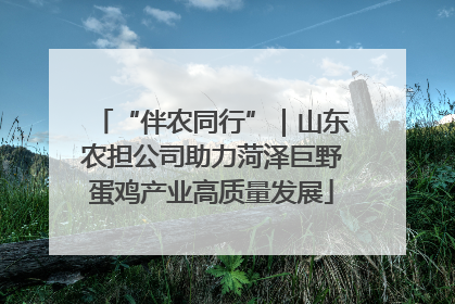 “伴农同行”｜山东农担公司助力菏泽巨野蛋鸡产业高质量发展