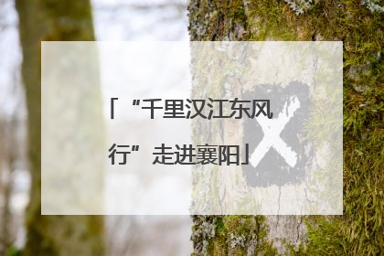 “千里汉江东风行”走进襄阳