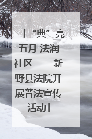 “典”亮五月 法润社区——新野县法院开展普法宣传活动