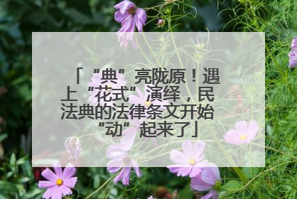 “典”亮陇原！遇上“花式”演绎，民法典的法律条文开始“动”起来了