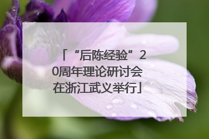 “后陈经验”20周年理论研讨会在浙江武义举行