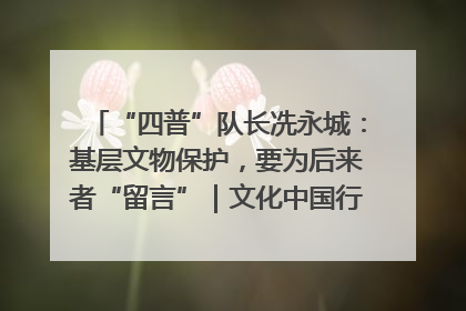 “四普”队长冼永城：基层文物保护，要为后来者“留言”｜文化中国行·我在广东找文物