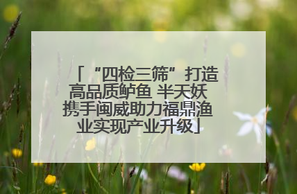 “四检三筛”打造高品质鲈鱼 半天妖携手闽威助力福鼎渔业实现产业升级