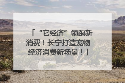 “它经济”领跑新消费！长宁打造宠物经济消费新场景！