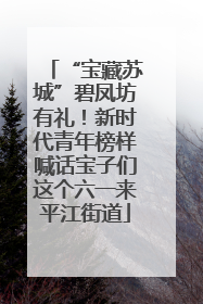 “宝藏苏城”碧凤坊有礼！新时代青年榜样喊话宝子们这个六一来平江街道