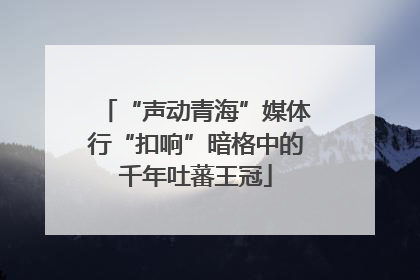 “声动青海”媒体行“扣响”暗格中的千年吐蕃王冠