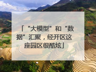 “大模型”和“数据”汇聚，经开区这座园区很酷炫