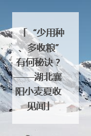 “少用种、多收粮”有何秘诀？——湖北襄阳小麦夏收见闻