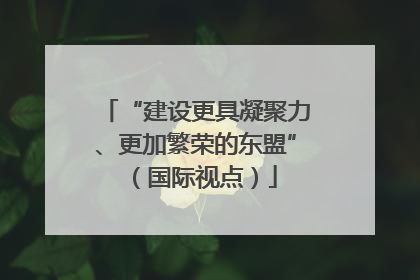 “建设更具凝聚力、更加繁荣的东盟”（国际视点）