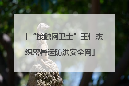 “接触网卫士”王仁杰织密暑运防洪安全网