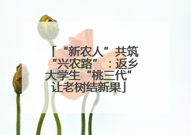 “新农人”共筑“兴农路”：返乡大学生“桃三代”让老树结新果