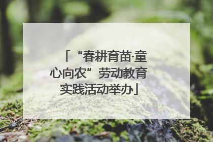 “春耕育苗·童心向农”劳动教育实践活动举办
