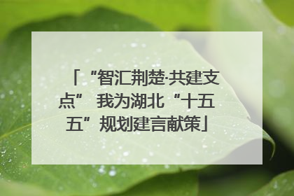 “智汇荆楚·共建支点” 我为湖北“十五五”规划建言献策