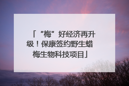 “梅”好经济再升级！保康签约野生蜡梅生物科技项目
