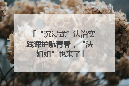 “沉浸式”法治实践课护航青春，“法姐姐”也来了