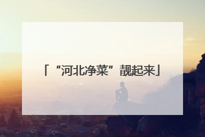 “河北净菜”靓起来