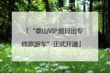 “泰山VIP观日出专线旅游车”正式开通