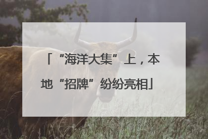 “海洋大集”上，本地“招牌”纷纷亮相