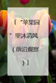 “苹果园”里沐清风（前沿观察）