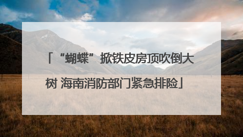 “蝴蝶”掀铁皮房顶吹倒大树 海南消防部门紧急排险