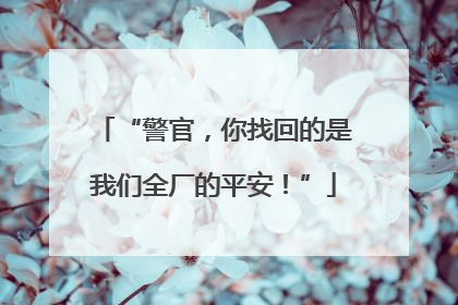 “警官，你找回的是我们全厂的平安！”